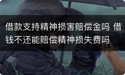 借款支持精神损害赔偿金吗 借钱不还能赔偿精神损失费吗