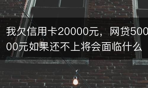 我欠信用卡20000元，网贷50000元如果还不上将会面临什么的刑事处罚