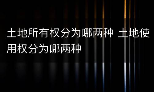 土地所有权分为哪两种 土地使用权分为哪两种