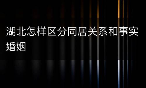 湖北怎样区分同居关系和事实婚姻