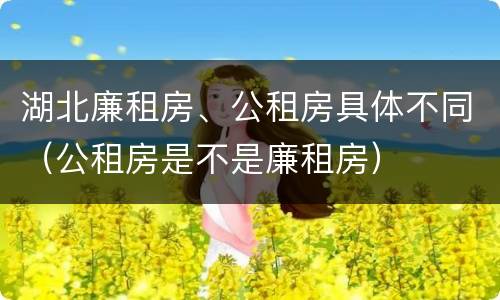湖北廉租房、公租房具体不同（公租房是不是廉租房）
