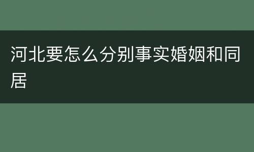 河北要怎么分别事实婚姻和同居