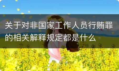 关于对非国家工作人员行贿罪的相关解释规定都是什么