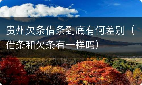 贵州欠条借条到底有何差别（借条和欠条有一样吗）