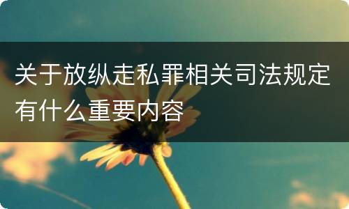 关于放纵走私罪相关司法规定有什么重要内容
