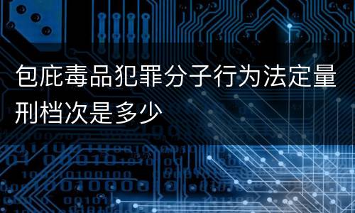 包庇毒品犯罪分子行为法定量刑档次是多少