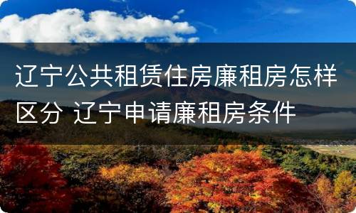 辽宁公共租赁住房廉租房怎样区分 辽宁申请廉租房条件