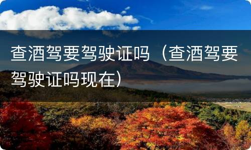 查酒驾要驾驶证吗（查酒驾要驾驶证吗现在）