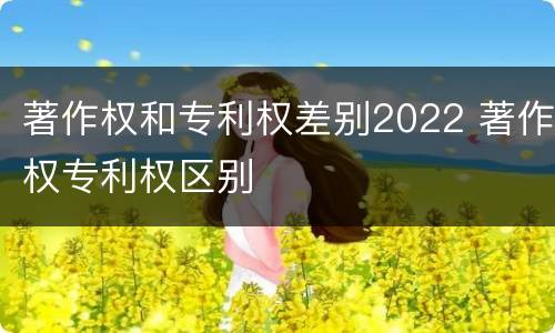 著作权和专利权差别2022 著作权专利权区别