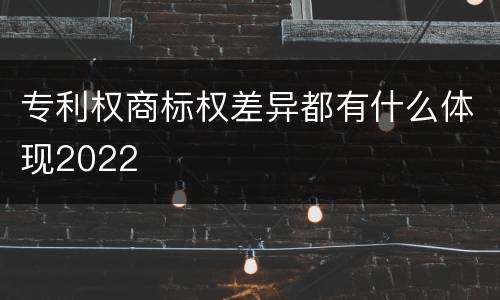 专利权商标权差异都有什么体现2022