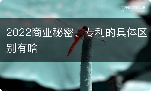 2022商业秘密、专利的具体区别有啥