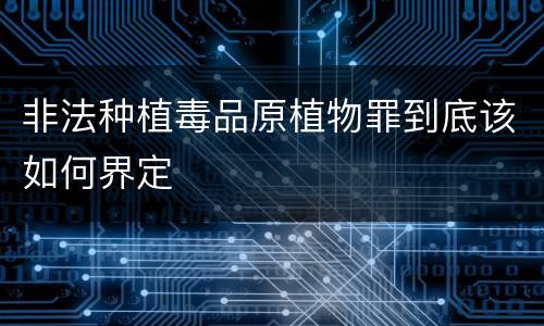 非法种植毒品原植物罪到底该如何界定