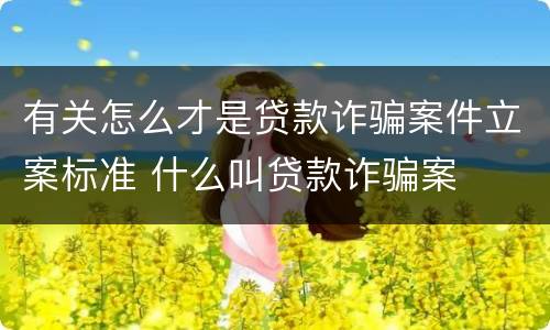 有关怎么才是贷款诈骗案件立案标准 什么叫贷款诈骗案