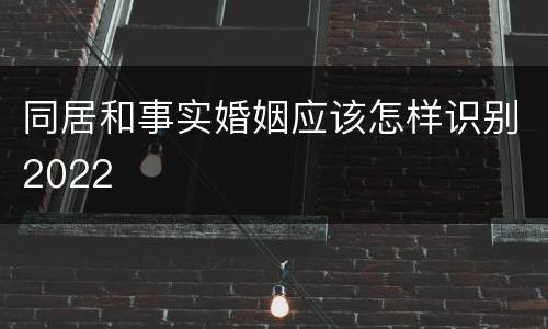 同居和事实婚姻应该怎样识别2022