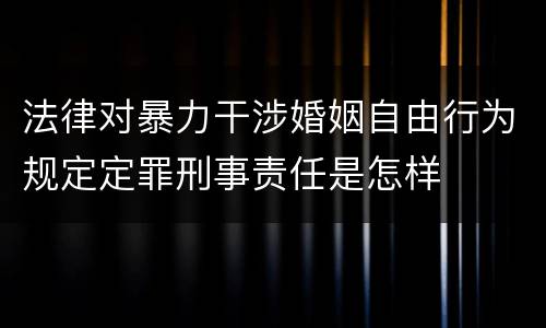 法律对暴力干涉婚姻自由行为规定定罪刑事责任是怎样