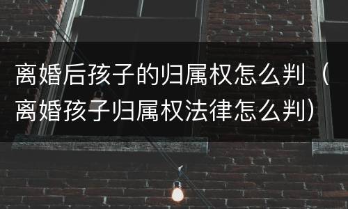离婚后孩子的归属权怎么判（离婚孩子归属权法律怎么判）