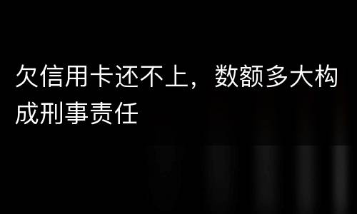 欠信用卡还不上，数额多大构成刑事责任