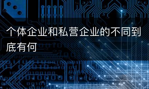 个体企业和私营企业的不同到底有何