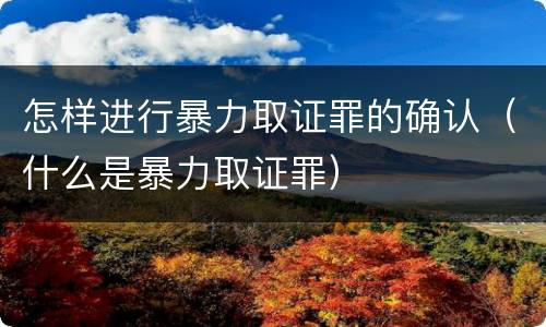 怎样进行暴力取证罪的确认（什么是暴力取证罪）