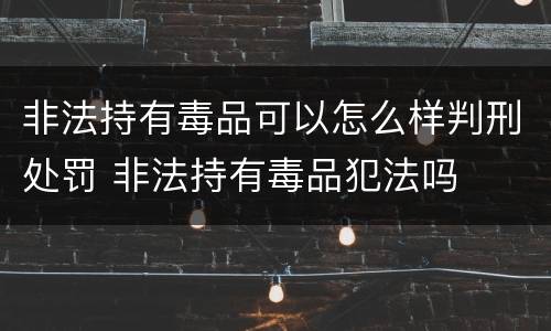 非法持有毒品可以怎么样判刑处罚 非法持有毒品犯法吗