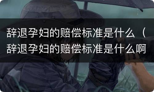 辞退孕妇的赔偿标准是什么（辞退孕妇的赔偿标准是什么啊）