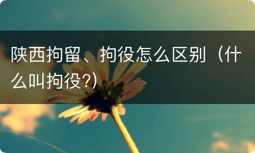 陕西拘留、拘役怎么区别（什么叫拘役?）