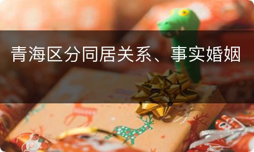青海区分同居关系、事实婚姻