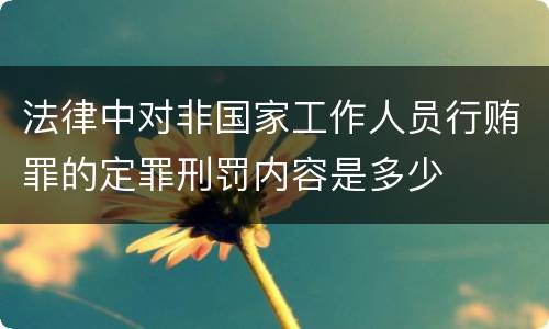法律中对非国家工作人员行贿罪的定罪刑罚内容是多少