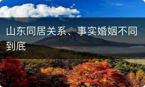 山东同居关系、事实婚姻不同到底