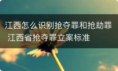 江西怎么识别抢夺罪和抢劫罪 江西省抢夺罪立案标准
