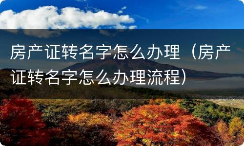 房产证转名字怎么办理（房产证转名字怎么办理流程）