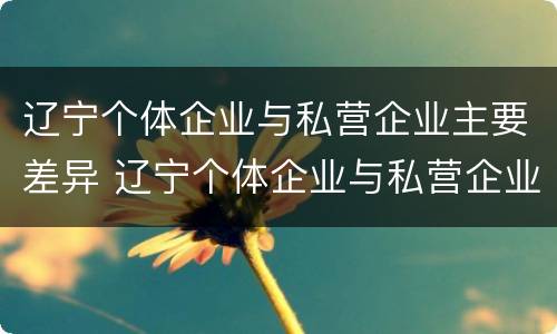 辽宁个体企业与私营企业主要差异 辽宁个体企业与私营企业主要差异在哪