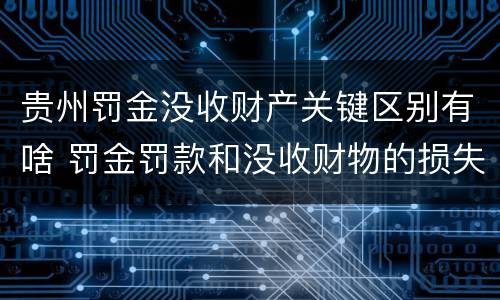 贵州罚金没收财产关键区别有啥 罚金罚款和没收财物的损失是指什么