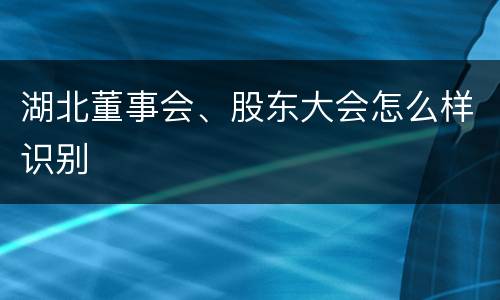 湖北董事会、股东大会怎么样识别