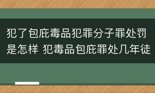 犯了包庇毒品犯罪分子罪处罚是怎样 犯毒品包庇罪处几年徒刑