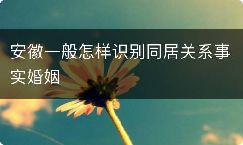 安徽一般怎样识别同居关系事实婚姻