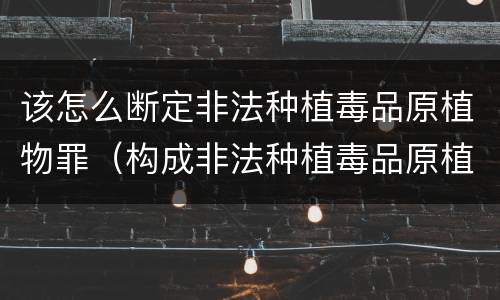 该怎么断定非法种植毒品原植物罪（构成非法种植毒品原植物）