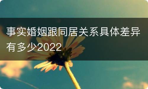 事实婚姻跟同居关系具体差异有多少2022