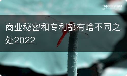 商业秘密和专利都有啥不同之处2022