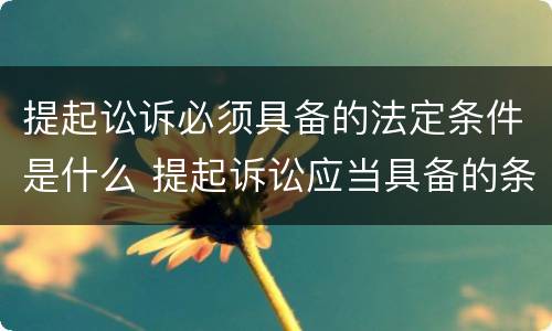 提起讼诉必须具备的法定条件是什么 提起诉讼应当具备的条件
