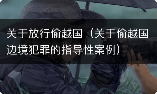关于放行偷越国（关于偷越国边境犯罪的指导性案例）