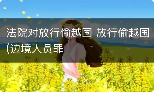 法院对放行偷越国 放行偷越国(边境人员罪