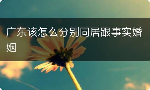 广东该怎么分别同居跟事实婚姻