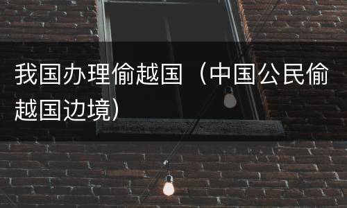 我国办理偷越国（中国公民偷越国边境）