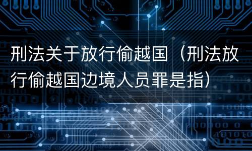 刑法关于放行偷越国（刑法放行偷越国边境人员罪是指）