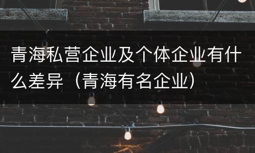 青海私营企业及个体企业有什么差异（青海有名企业）