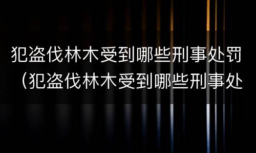 犯盗伐林木受到哪些刑事处罚（犯盗伐林木受到哪些刑事处罚和处罚）