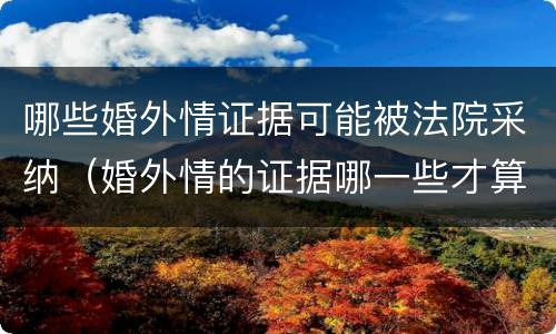哪些婚外情证据可能被法院采纳（婚外情的证据哪一些才算正确）