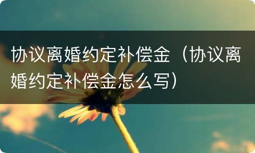 协议离婚约定补偿金（协议离婚约定补偿金怎么写）