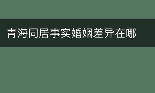青海同居事实婚姻差异在哪